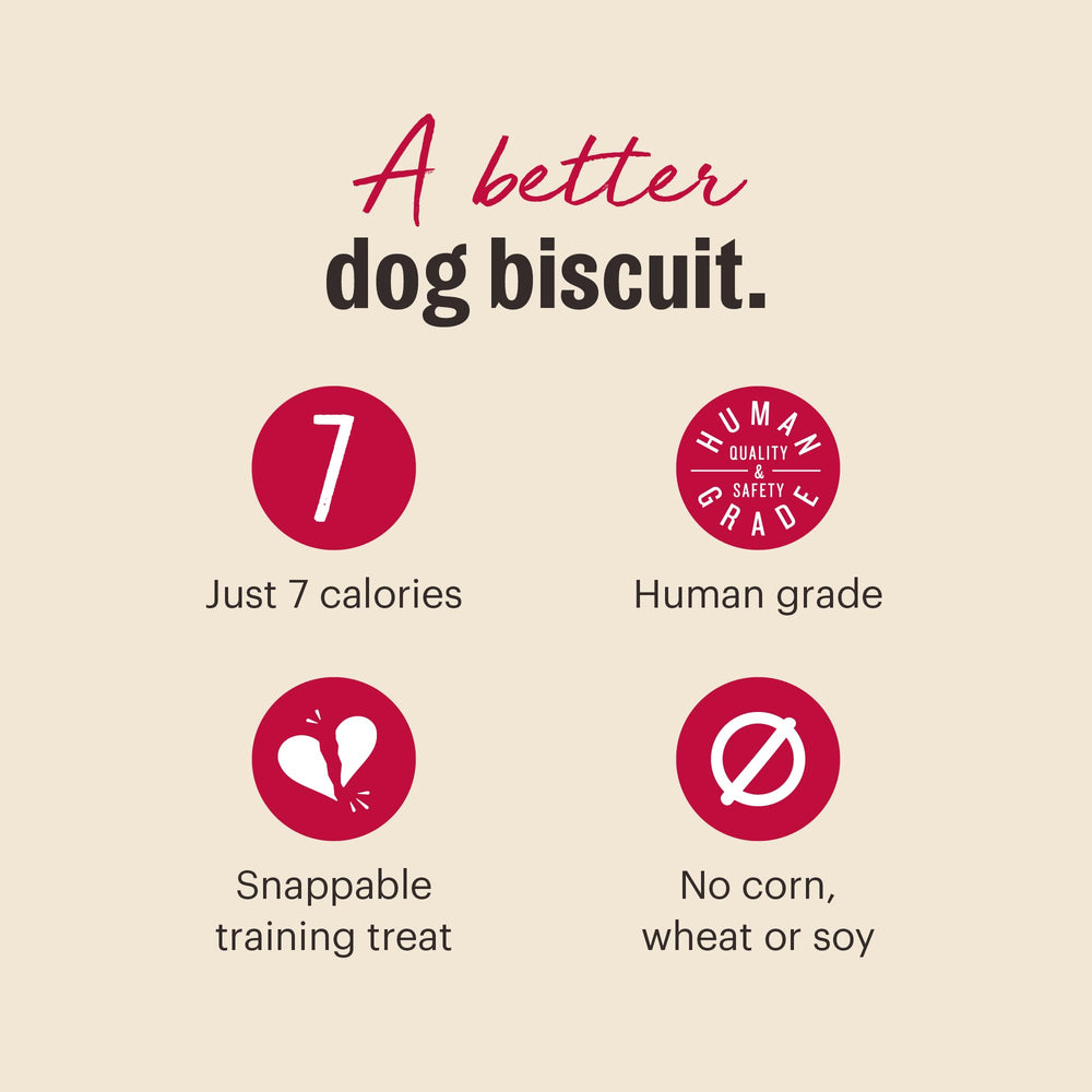 The Honest Kitchen Parmesan Pecks: textura crujiente ideal para perros de todas las edades.