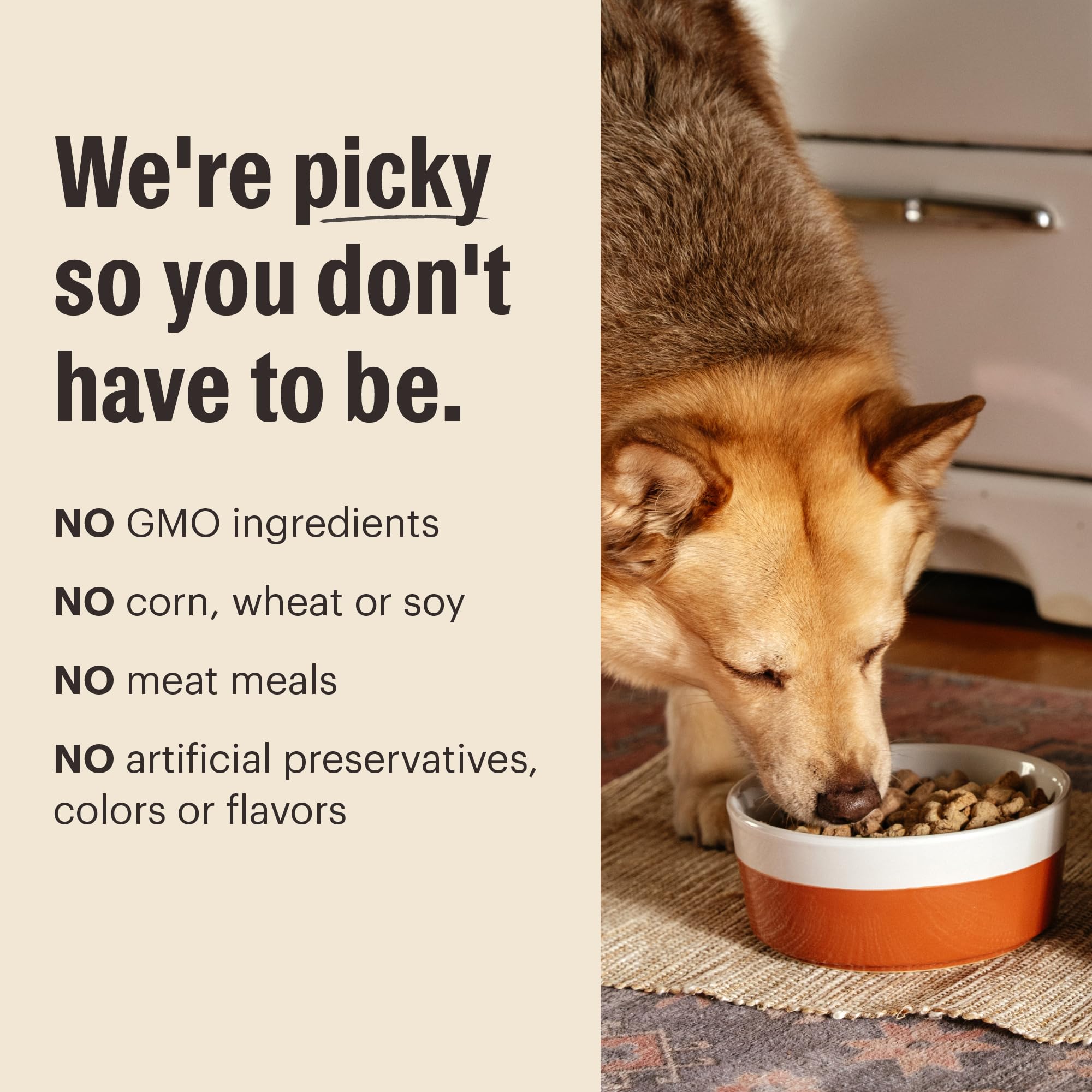 Proteínas de origen animal y Omega para piel y pelaje.