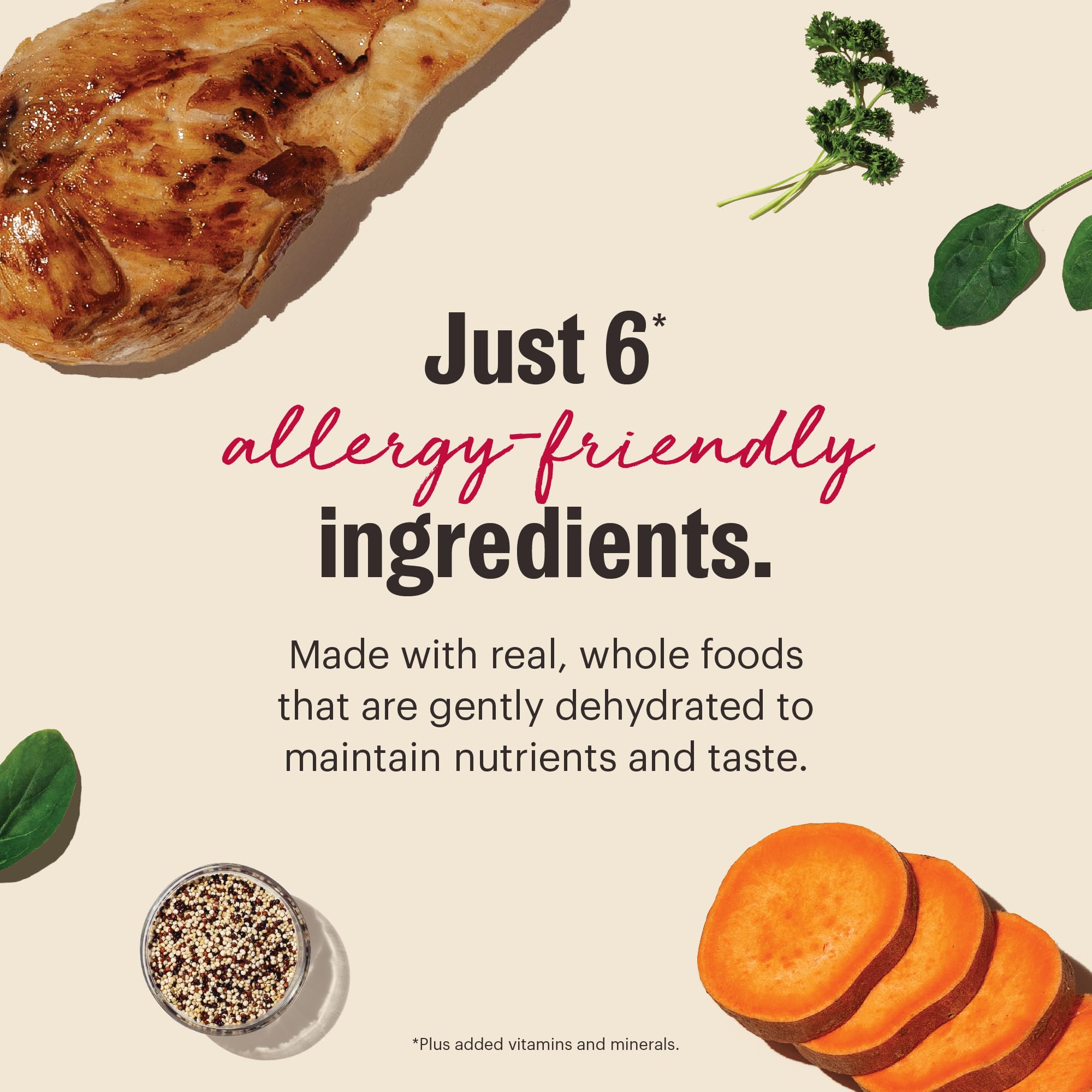 The Honest Kitchen Wholemade sin conservantes ni rellenos
