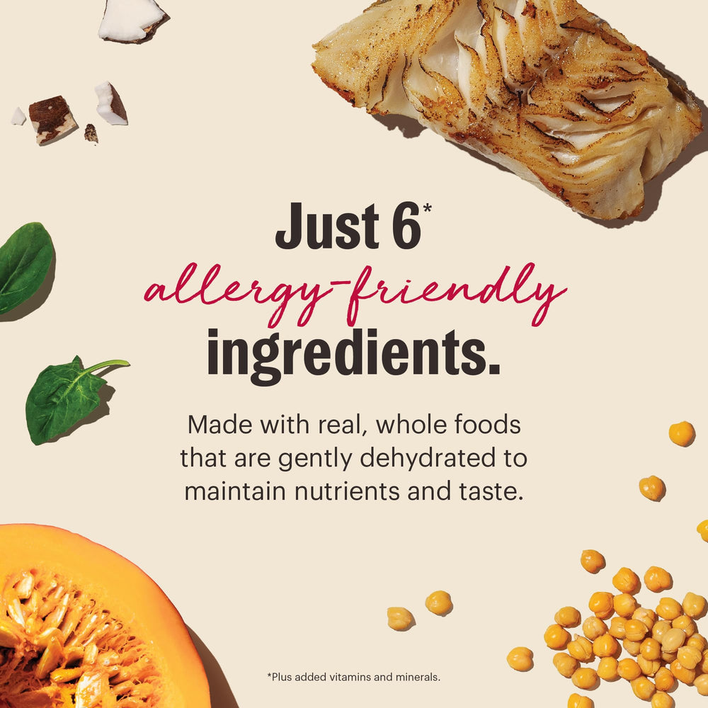 the honest kitchen wholemade certificado b corp, compromiso social y ambiental.