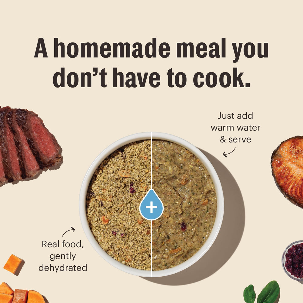 The Honest Kitchen WholeMade pavo sin granos: opción suave para estómagos sensibles