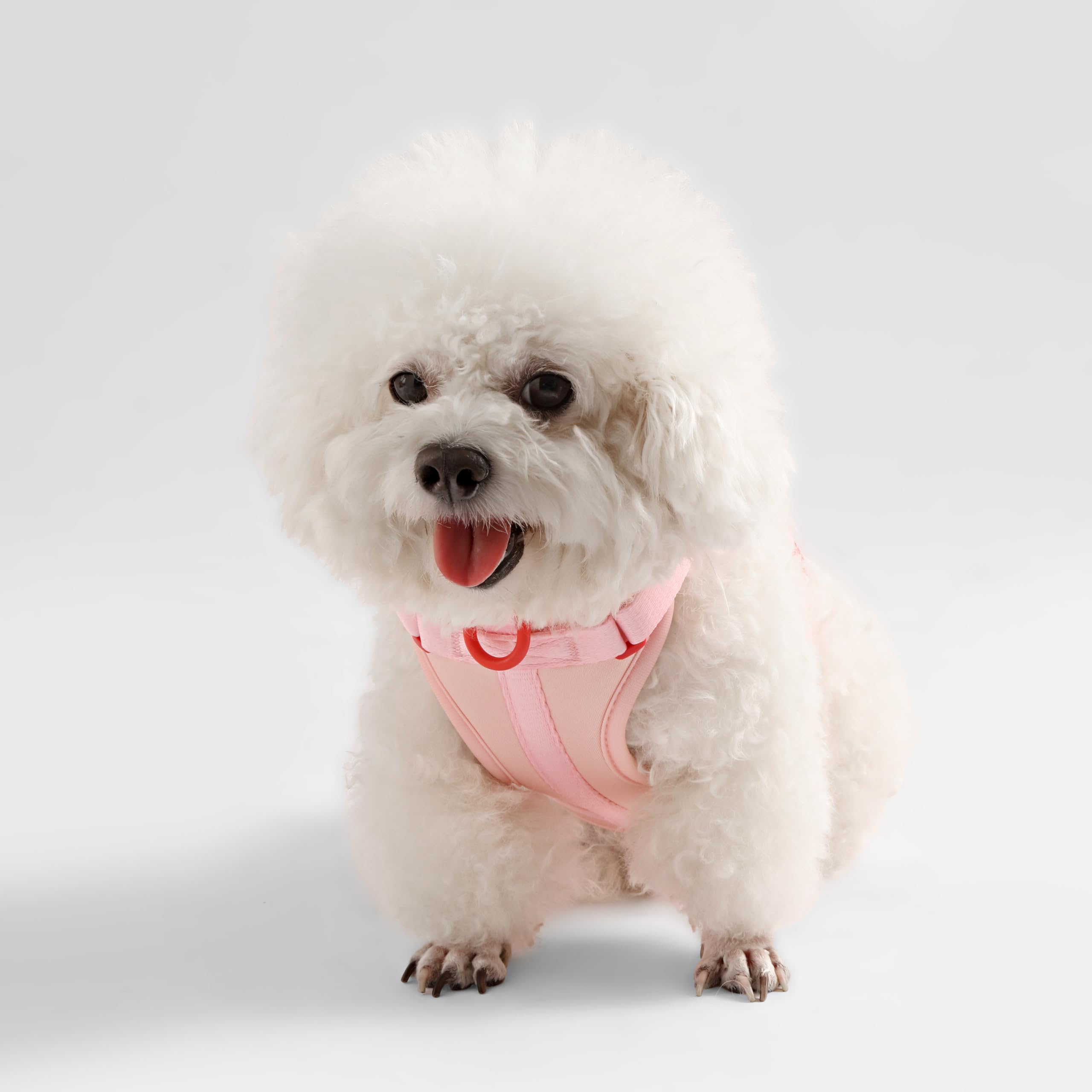 THE LICKER STORE Arlo acolchado y transpirable para mascotas
