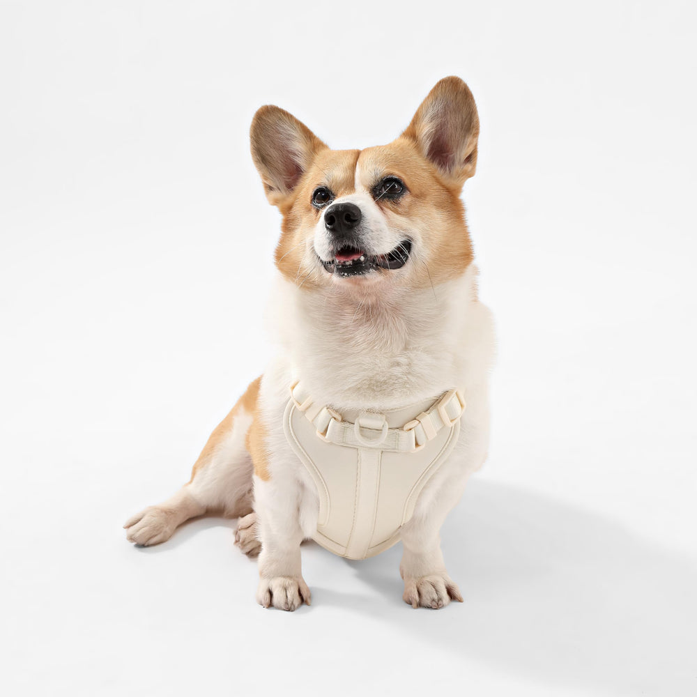 THE LICKER STORE Arlo arnés con cuatro correas ajustables para un ajuste perfecto.