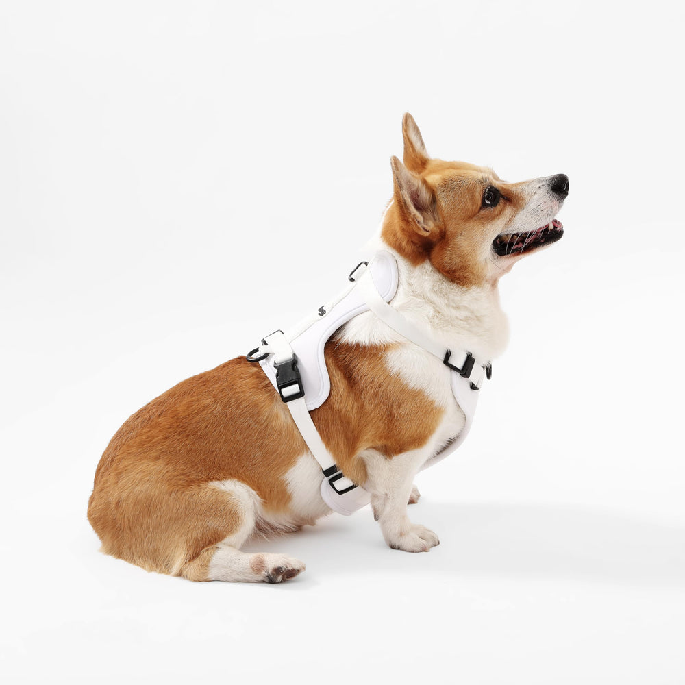 THE LICKER STORE Arlo clips de correa delanteros y traseros