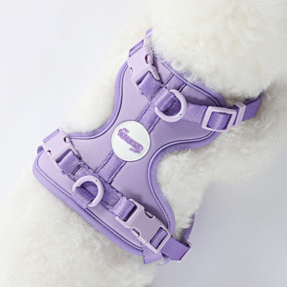 THE LICKER STORE Arlo HNS1001H, uso exterior ideal para paseos diarios