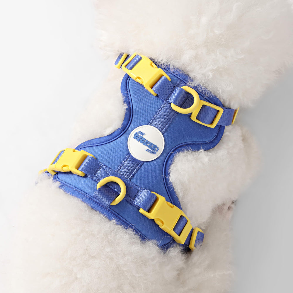 Arlo THE LICKER STORE: ideal para paseos con correa y control suave