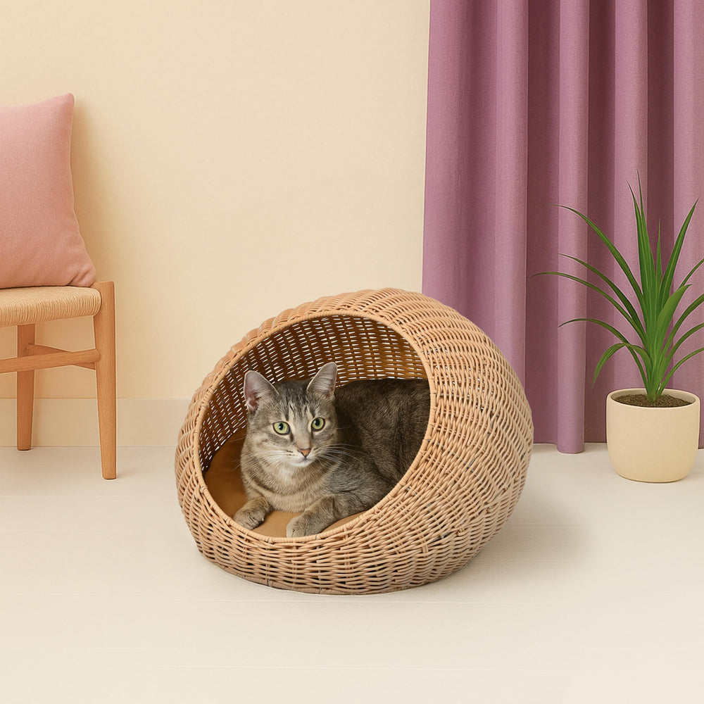 THE LICKER STORE Fiora: entrada frontal baja para fácil acceso de mascotas pequeñas