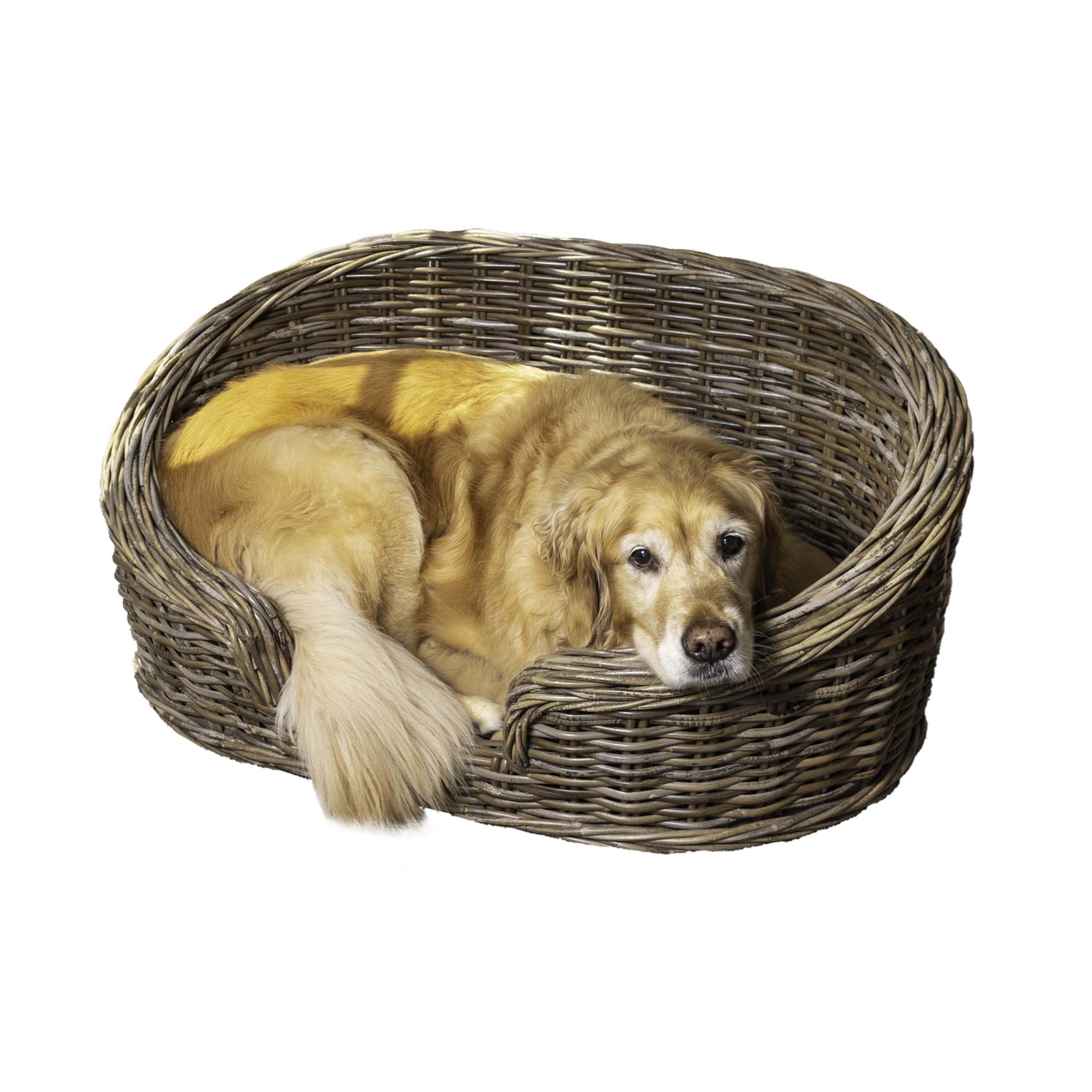 The LICKER STORE cama perro curvada de ratán gris Kubu para descanso cómodo