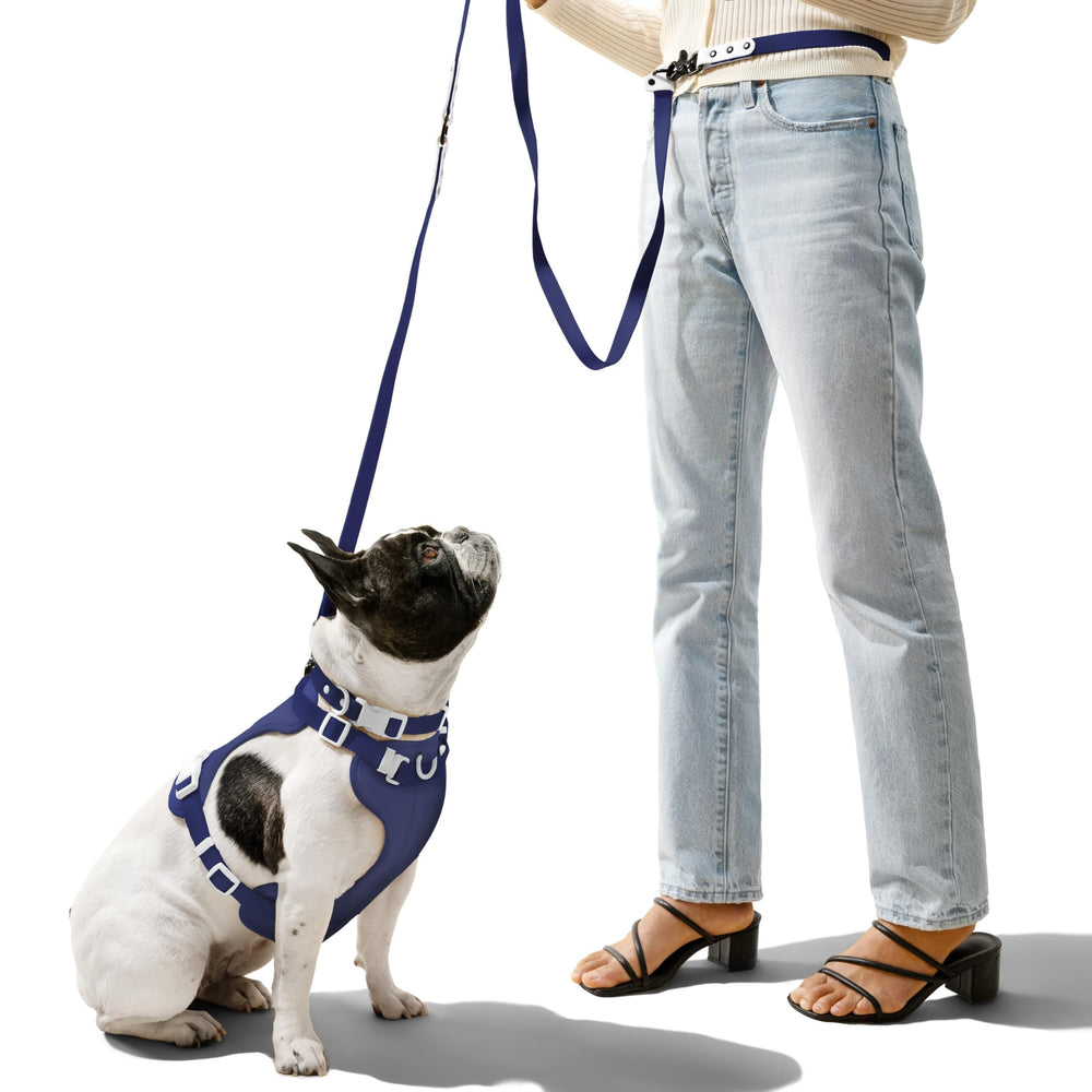 THE LICKER STORE Arlo arnés sin tirones para paseos tranquilos.