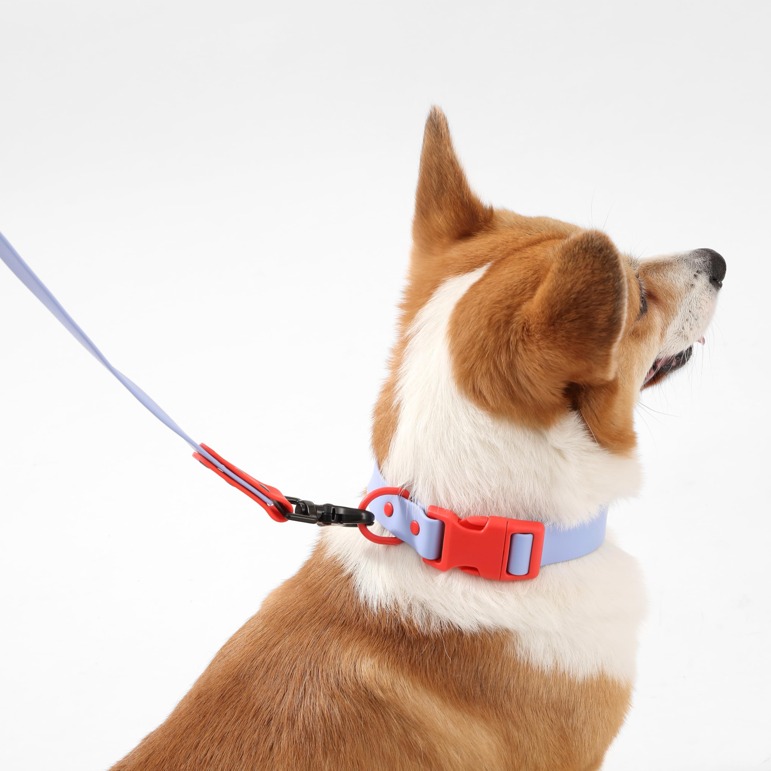 THE LICKER STORE Luna resistente al agua para clima impredecible