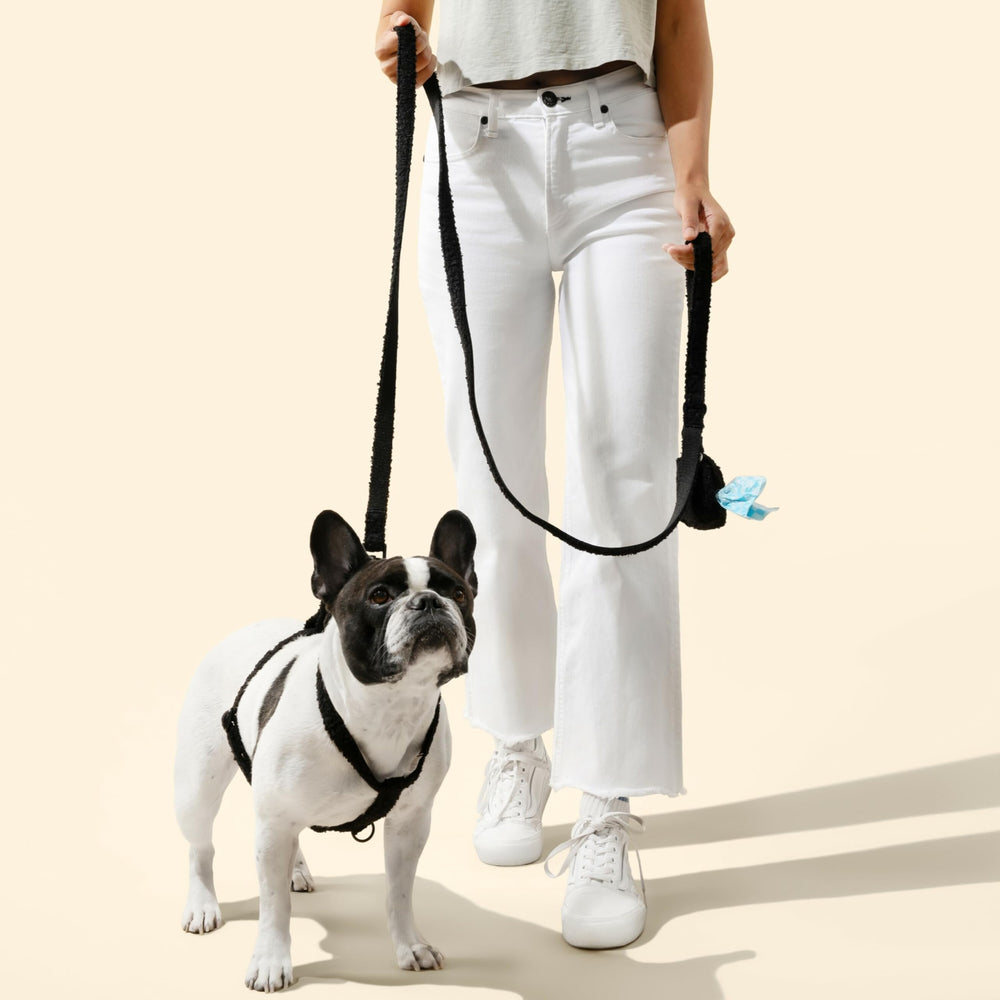 THE LICKER STORE WLK1000C-4SET correa de paseo ink ideal para control suave durante caminatas