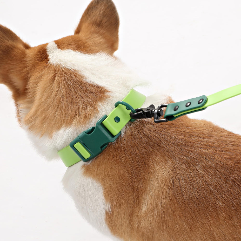 THE LICKER STORE WLK1005B-5SET Luna: seis modos de ajuste para paseos