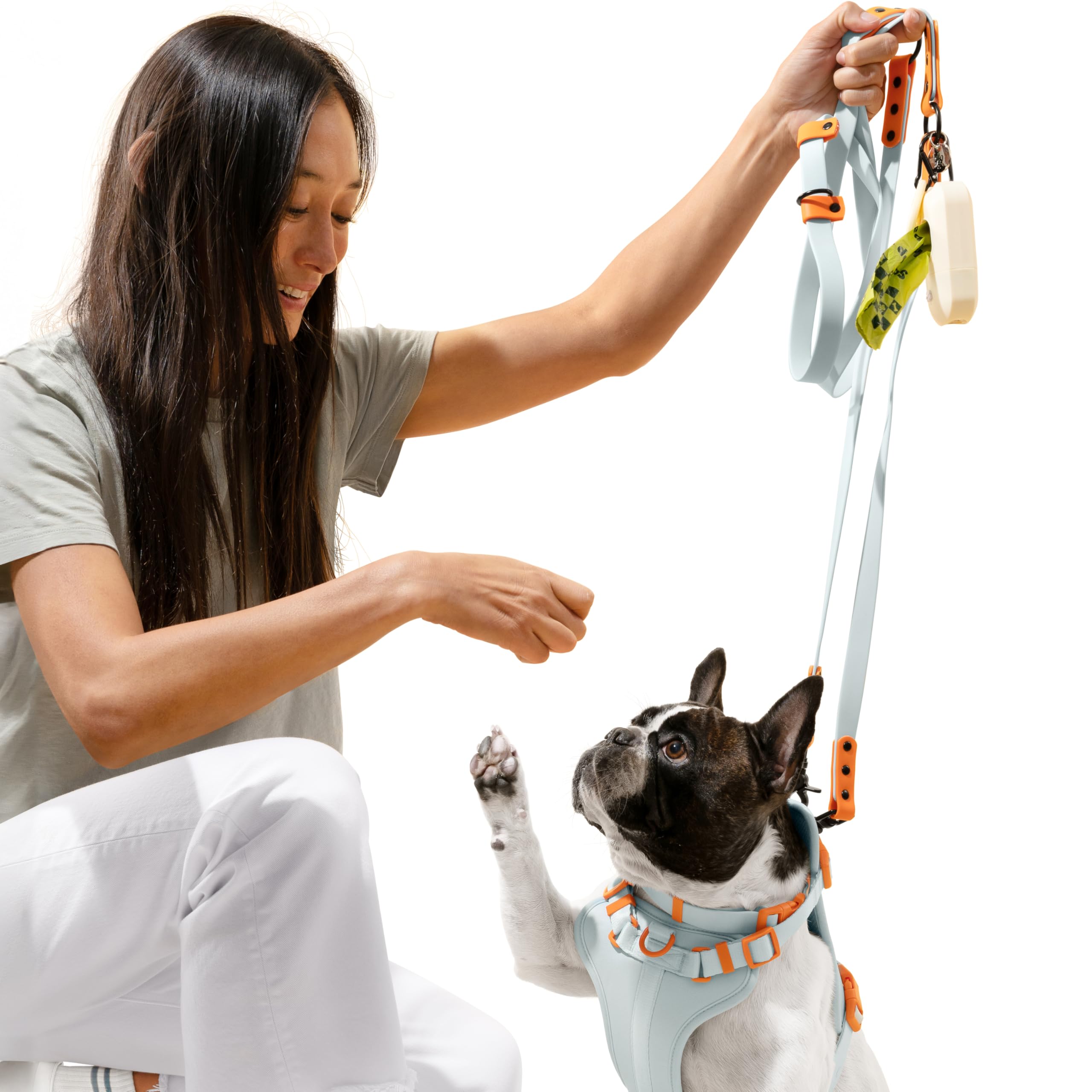 THE LICKER STORE WLK1005D-5SET: dispensador de bolsas para salidas limpias y ordenadas.