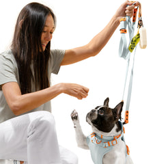 THE LICKER STORE WLK1005D-5SET: dispensador de bolsas para salidas limpias y ordenadas.