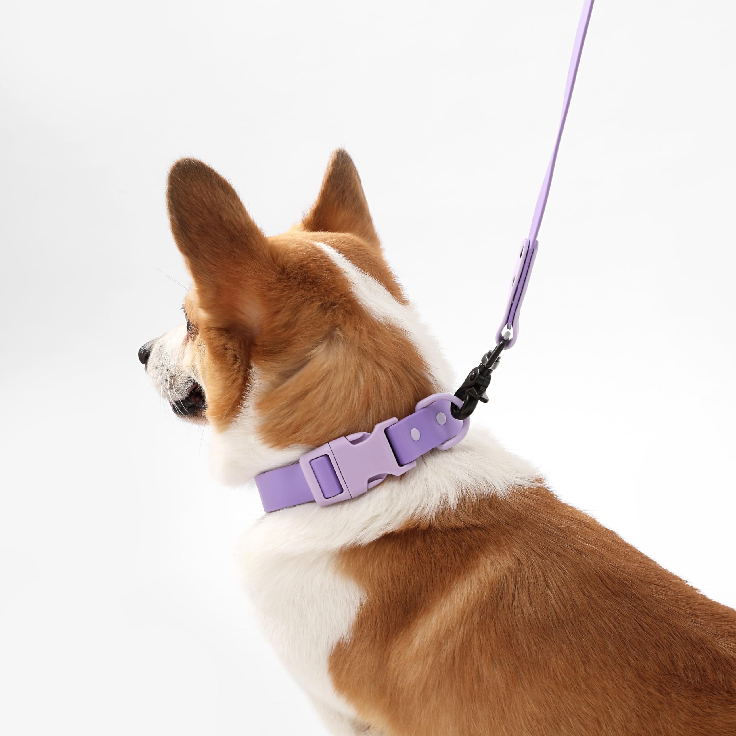 THE LICKER STORE WLK1005H-5SET Luna diseño impermeable para todos los climas