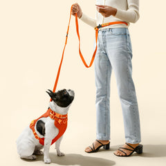 THE LICKER STORE WLK1006A-5SET diseño dos tonos naranja: collar y correa resistentes