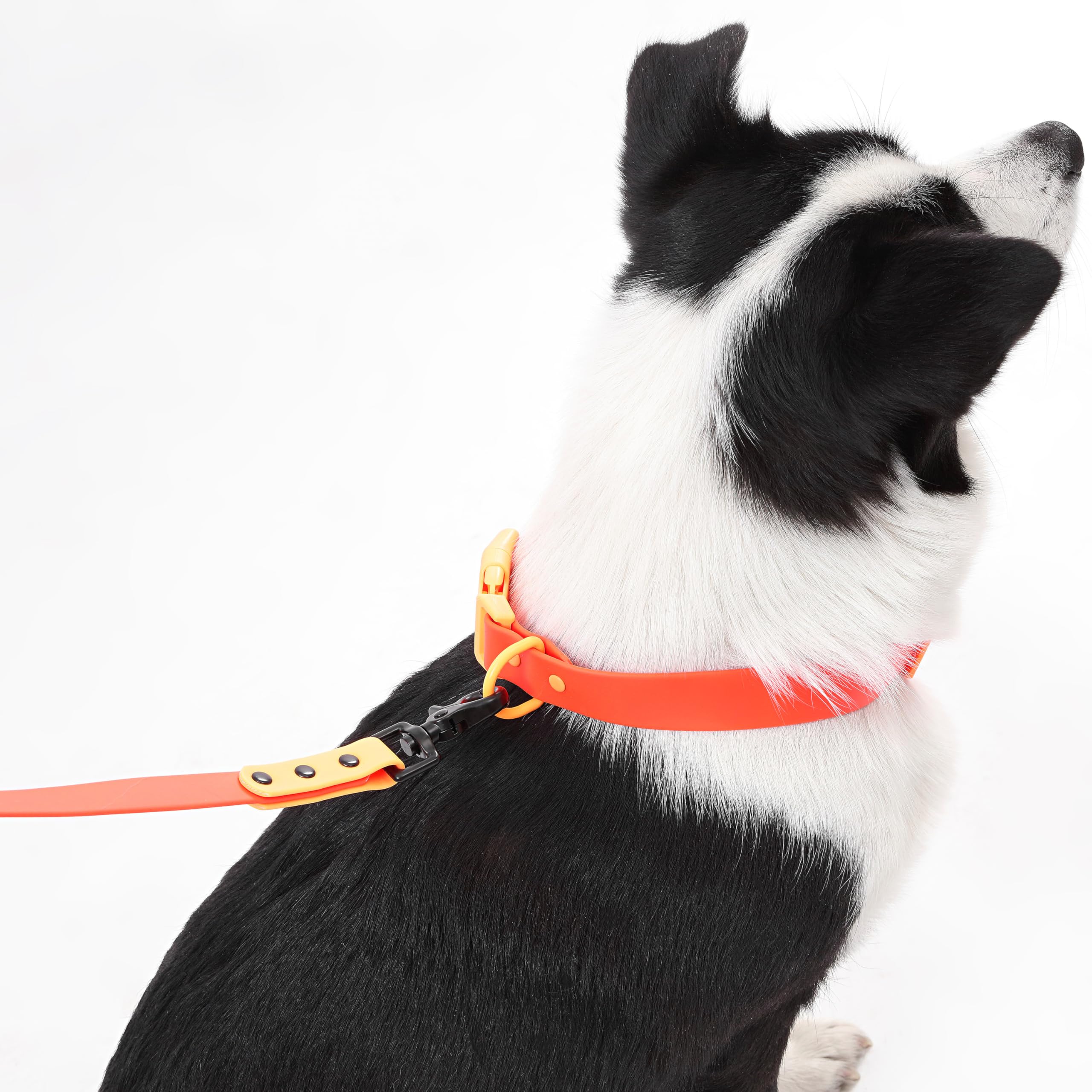 THE LICKER STORE WLK1006A-5SET uso para todo tipo de perros