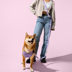 THE LICKER STORE WLK1006H-5SET Luna collar dos tonos para estilo y confort