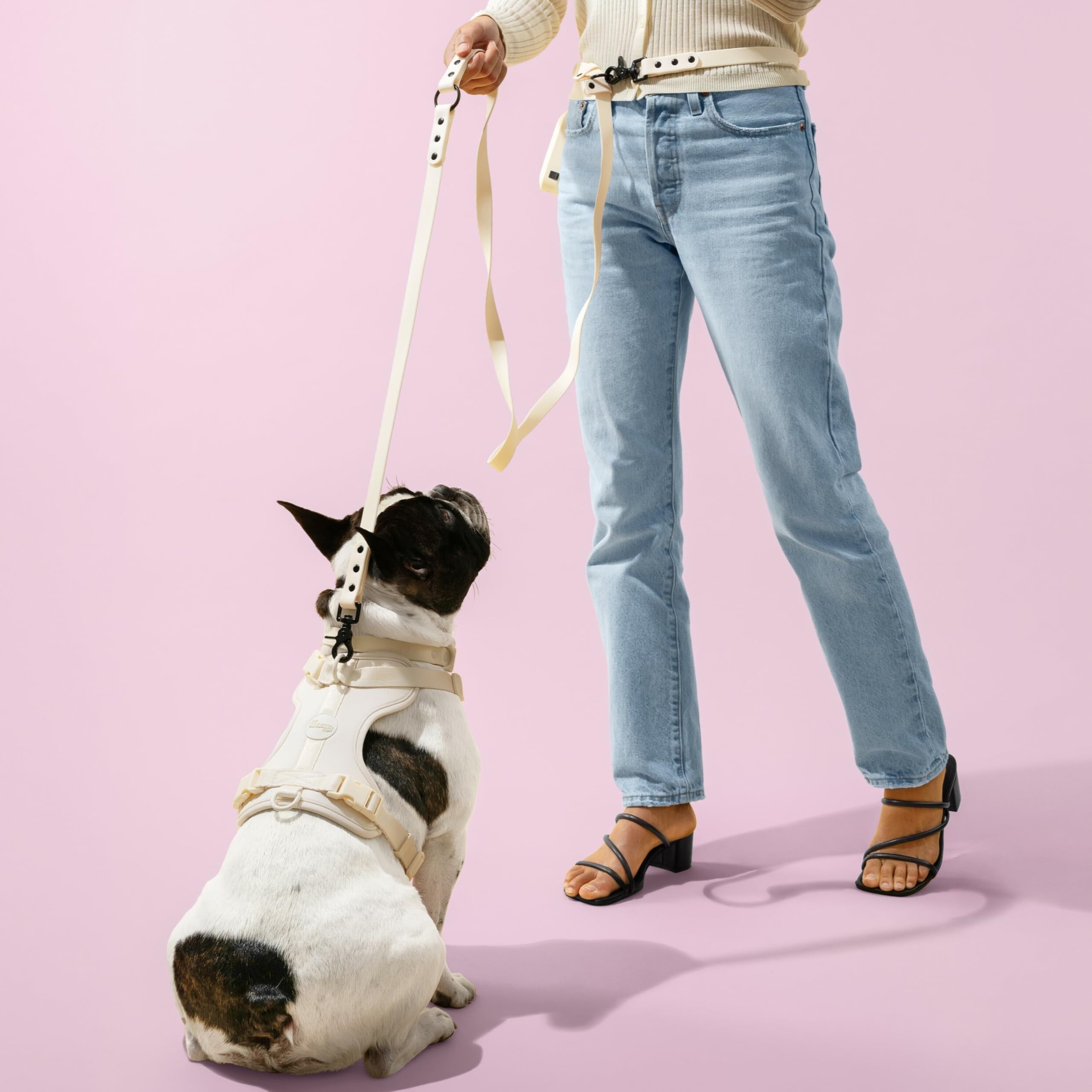 THE LICKER STORE WLK1006L-5SET Collar color almendra con diseño cómodo para perros de todas las tallas.