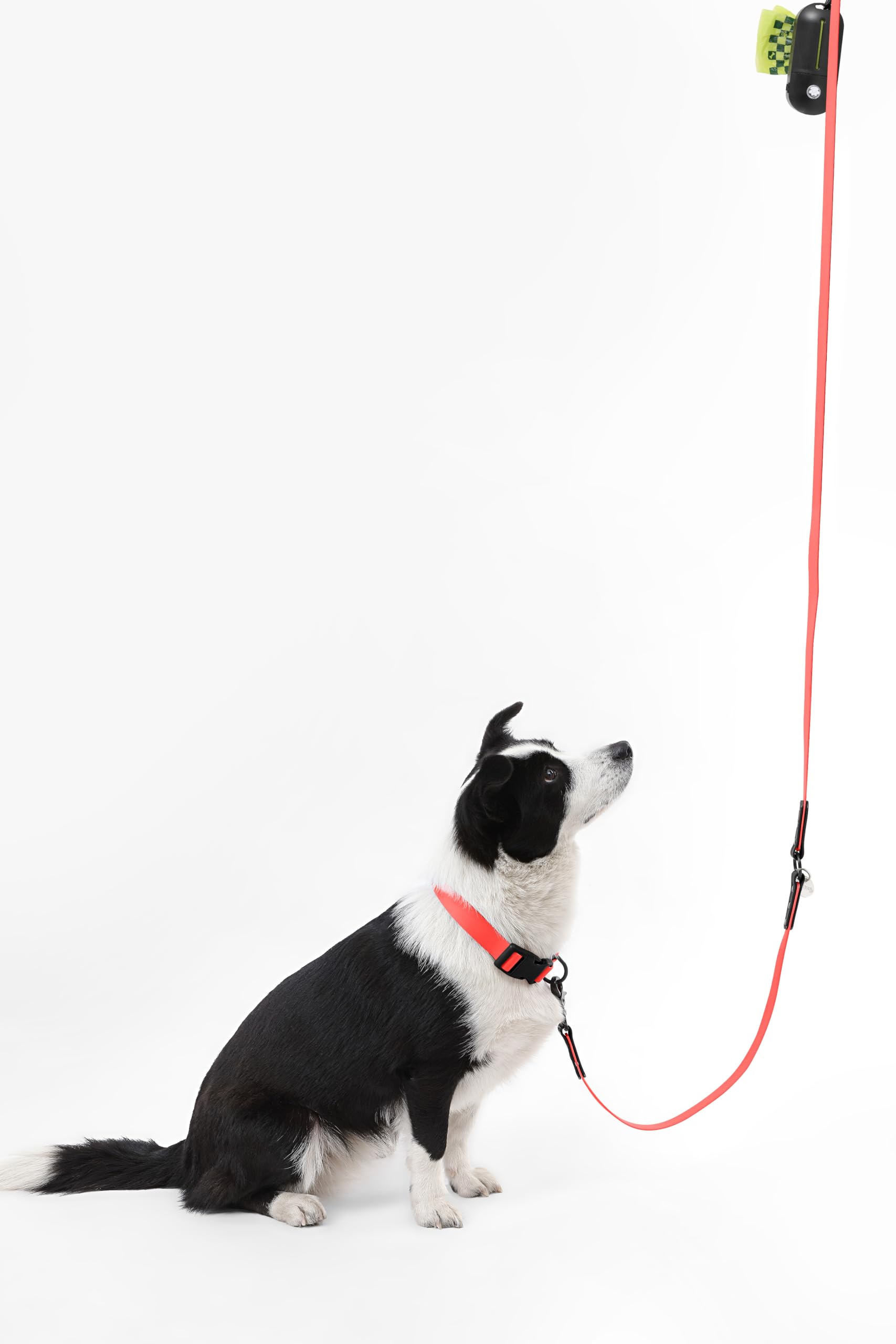 THE LICKER STORE WLK1006M-5SET Luna Large: diseño 2 tonos para estilo y durabilidad