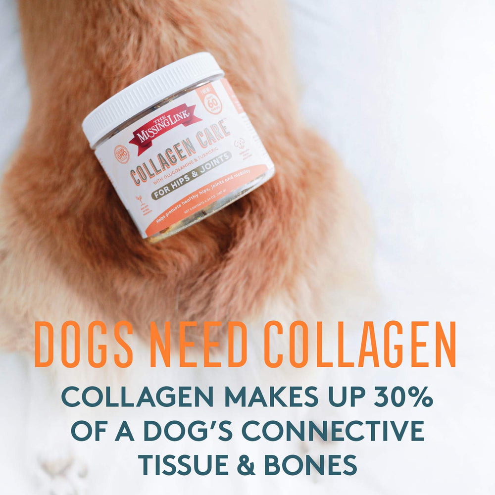 The Missing Link Collagen Care, gominolas para articulaciones caninas, favorecen movilidad y confort.