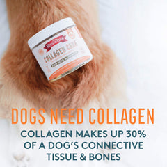 The Missing Link Collagen Care, gominolas para articulaciones caninas, favorecen movilidad y confort.