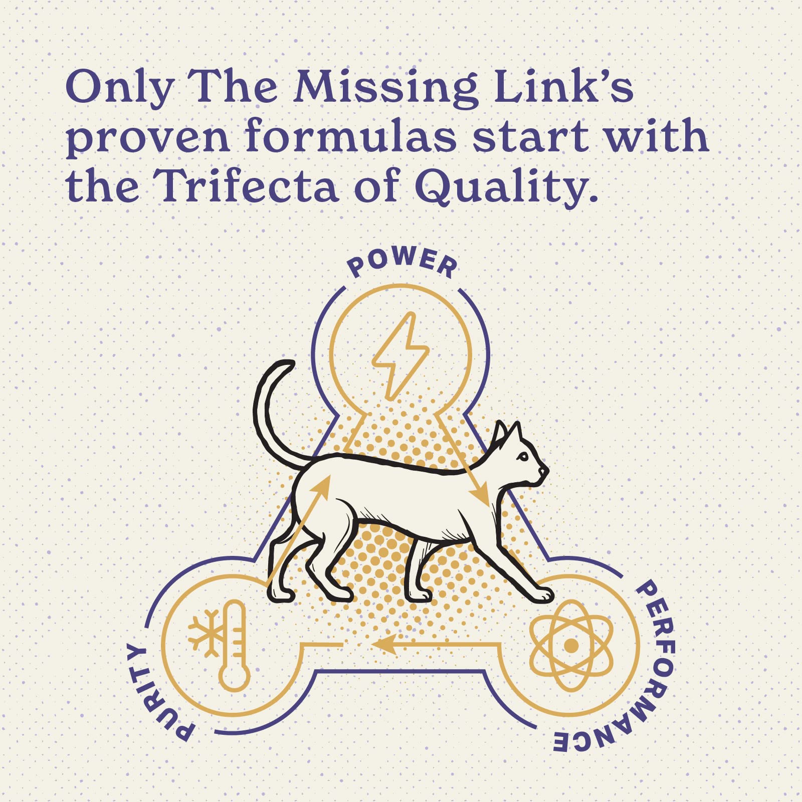 The Missing Link Gato: sabor mejorado para comer con gusto.