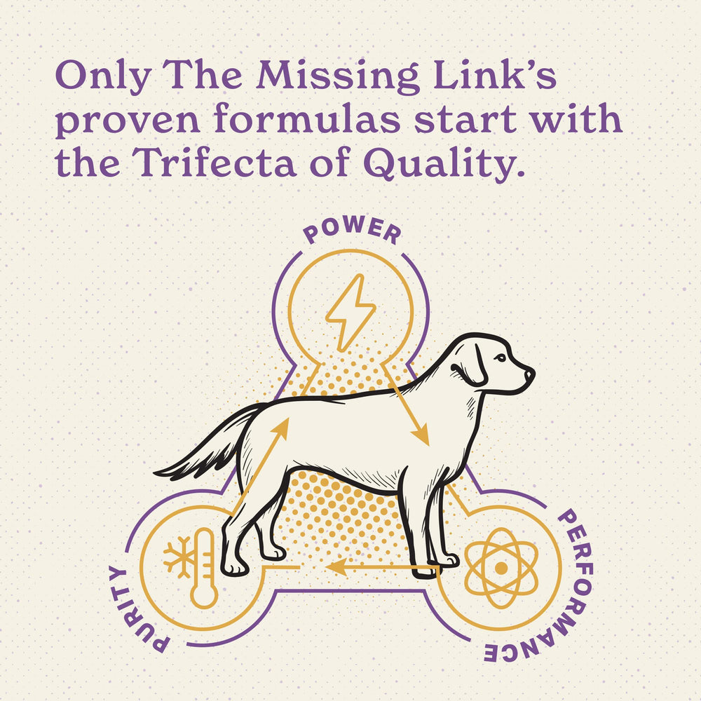 The Missing Link apoyo a la salud cardiovascular en perros mayores