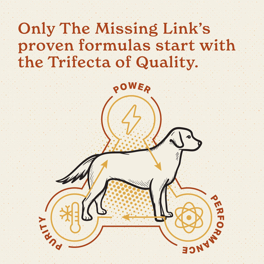 The Missing Link probióticos Lactospore mejora la absorción de nutrientes.