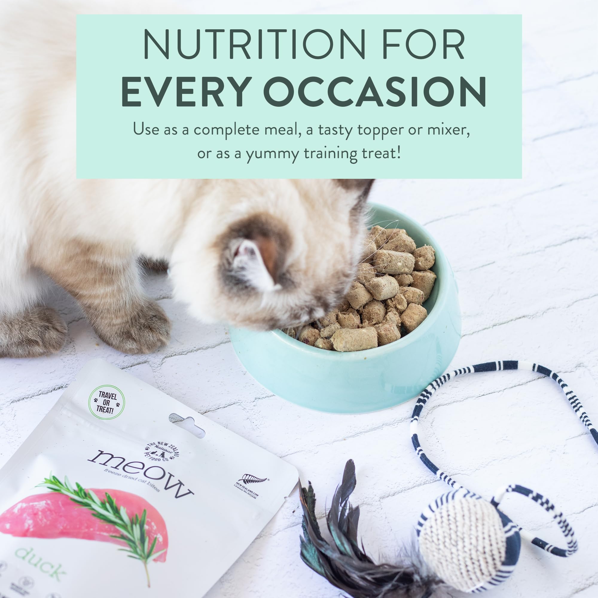 Meow Duck en plato como comida completa para gatos activos.