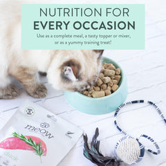 Meow Duck en plato como comida completa para gatos activos.