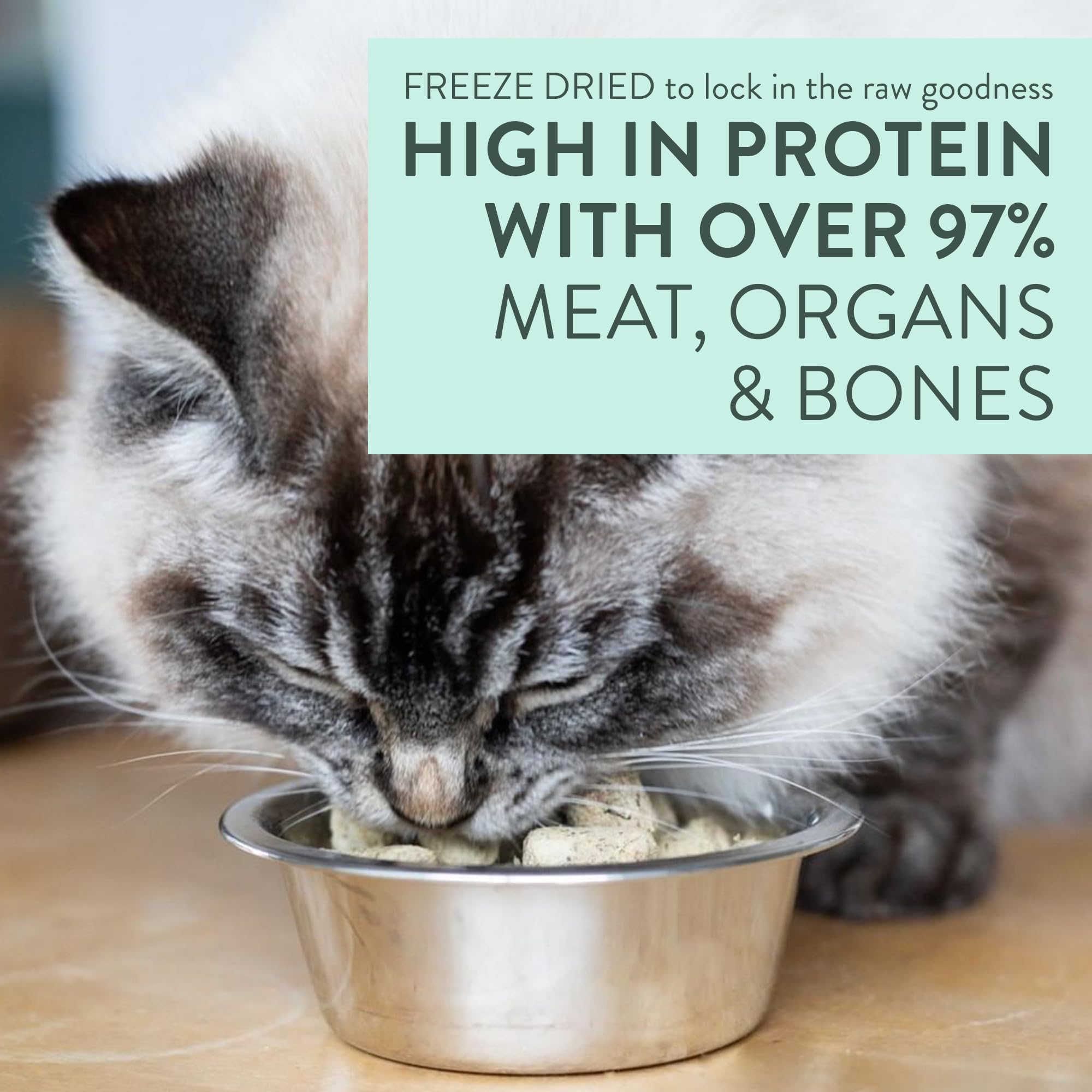 The New Zealand Natural Pet Food Co. Meow ingredientes naturales para digestión equilibrada.