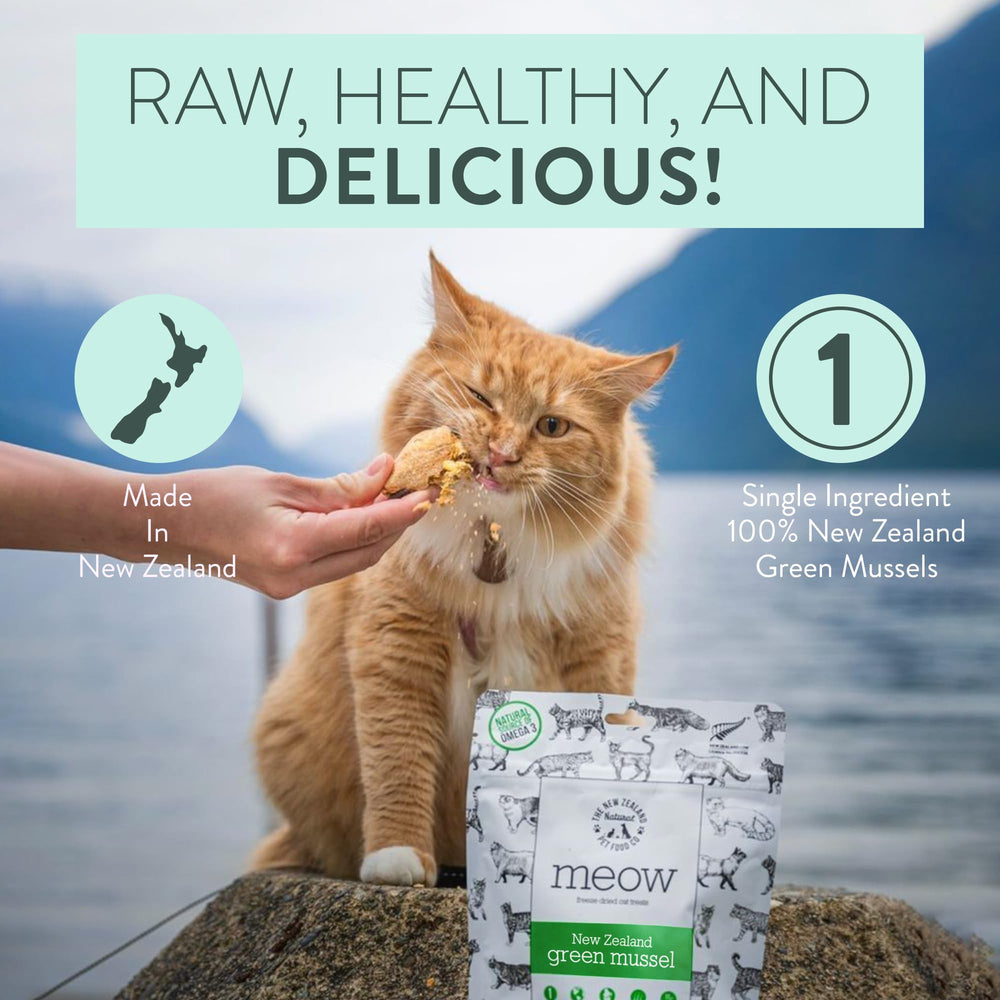 The New Zealand Natural Pet Food Co Meow sin aditivos, mejillón verde, para sensibilidades