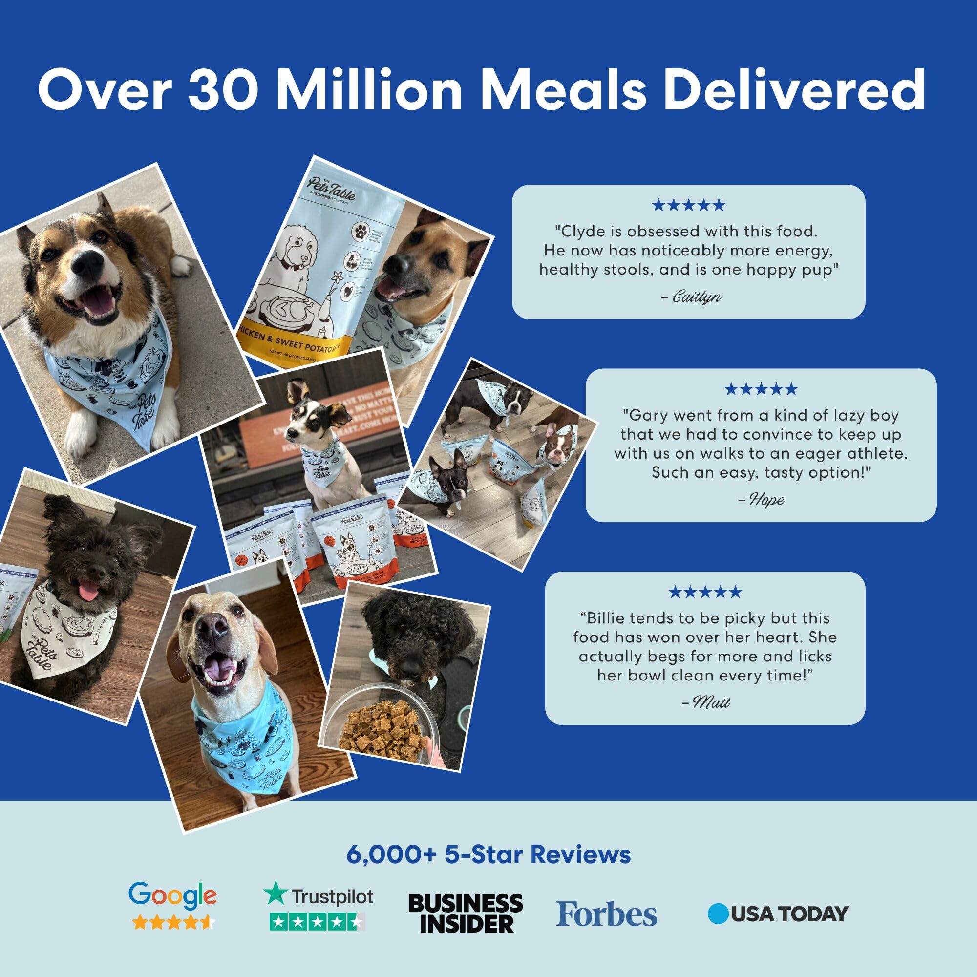 The Pets Table Contribuye a movilidad y piel saludable con ingredientes clave.