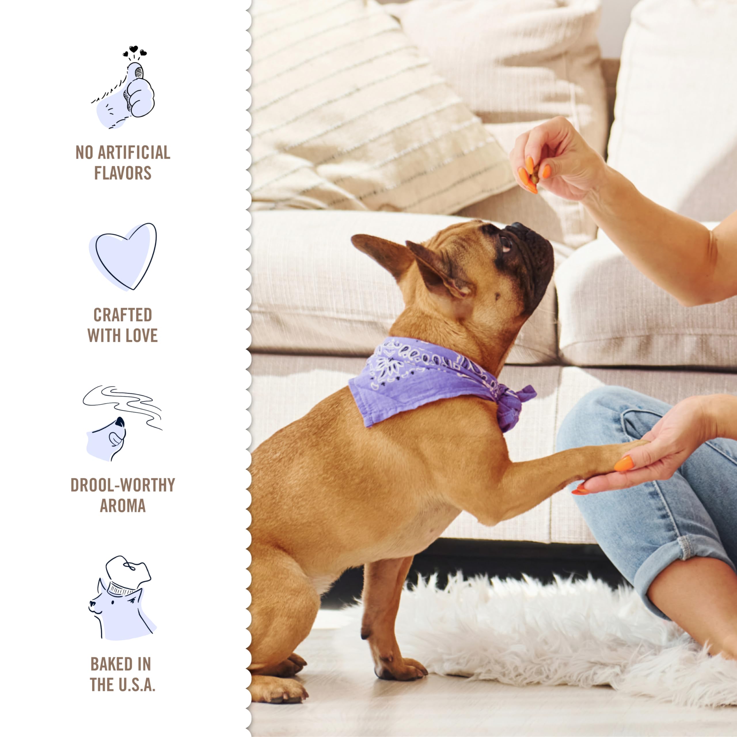 Three Dog Bakery resealable pack keeps treats fresh for quick training sessions.