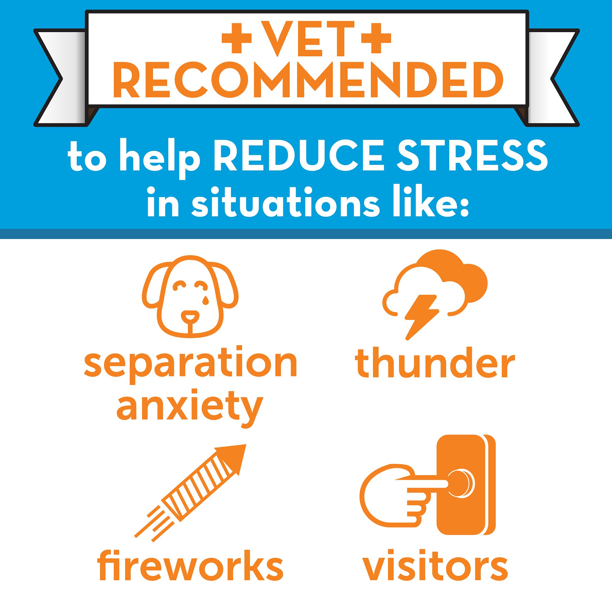 Recomendación veterinaria de ThunderEase para reducir estrés.