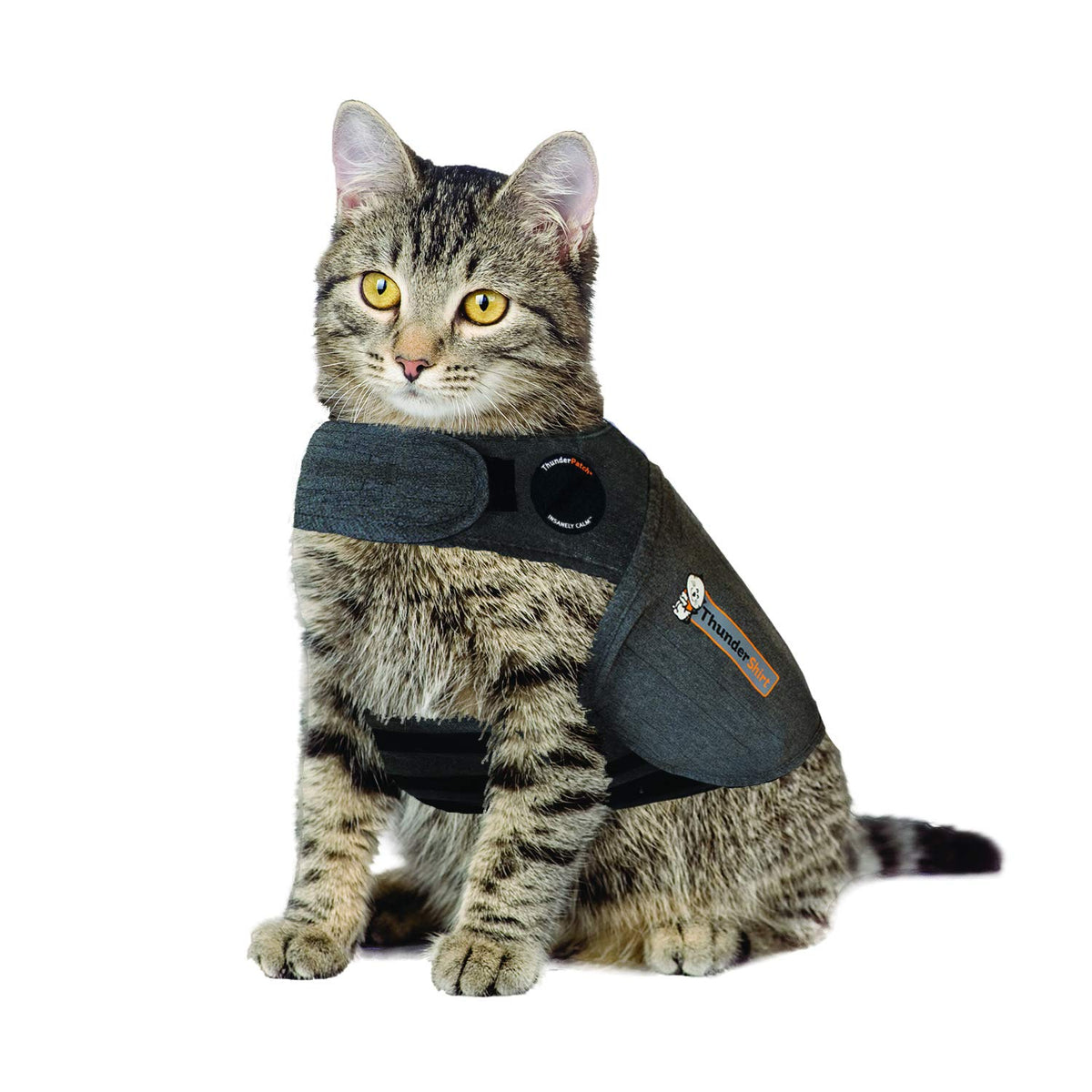 Thundershirt para gatos, chaqueta calmante, vista frontal, ajuste cómodo para tranquilidad en casa.