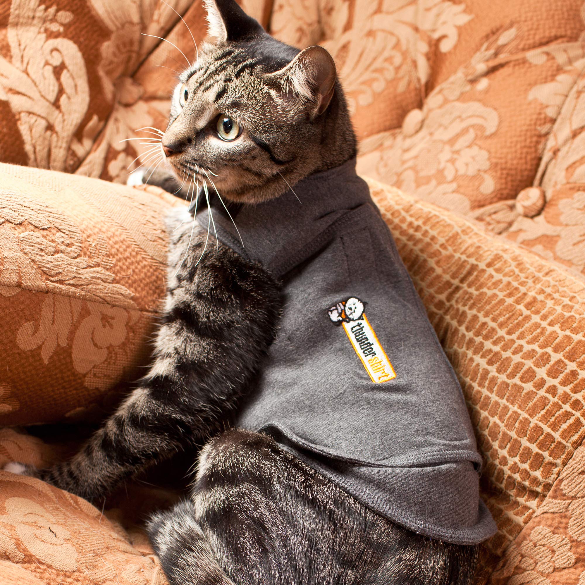 Thundershirt para gatos, chaqueta calmante, lavable a máquina para limpieza rápida.