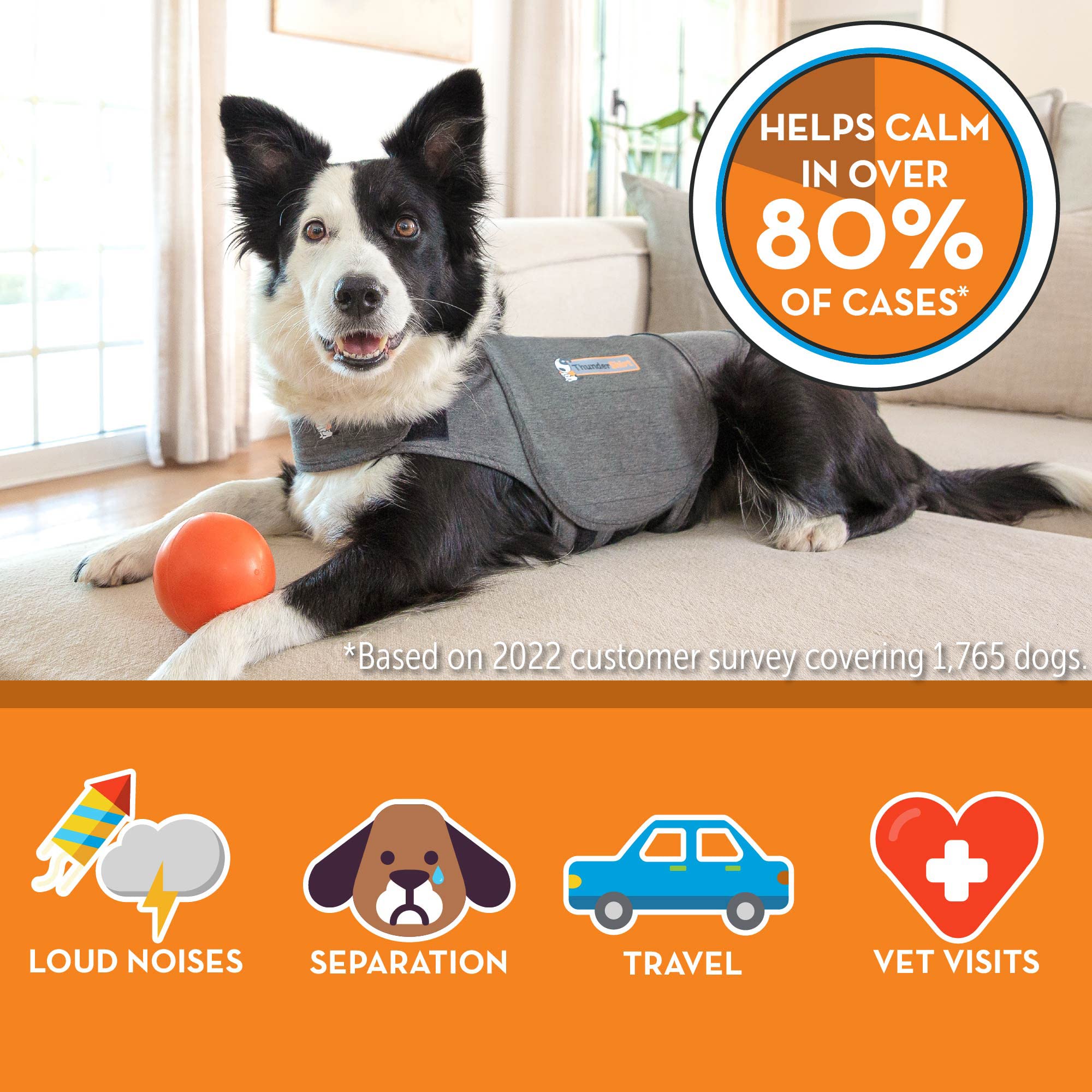 Thundershirt para perros en separación, calma la ansiedad por separación