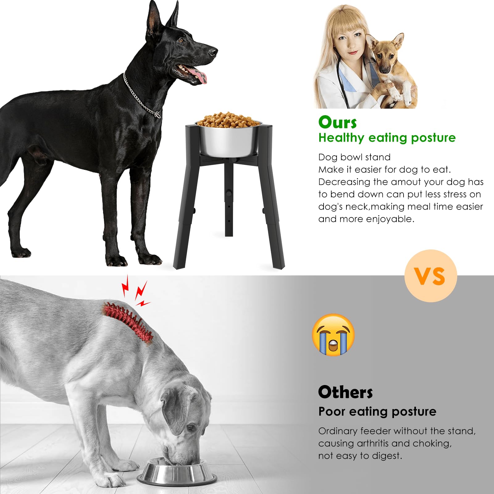 TIDANT altura ajustada para perros grandes mejora ergonomía al comer.