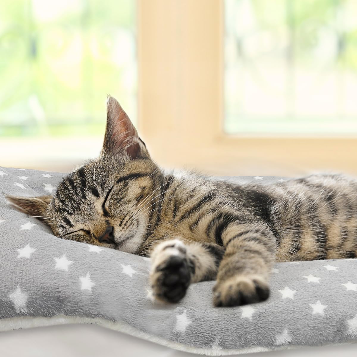 Manta Tierecare para gatos interiores; uso versátil en camas, sofás y transportines.