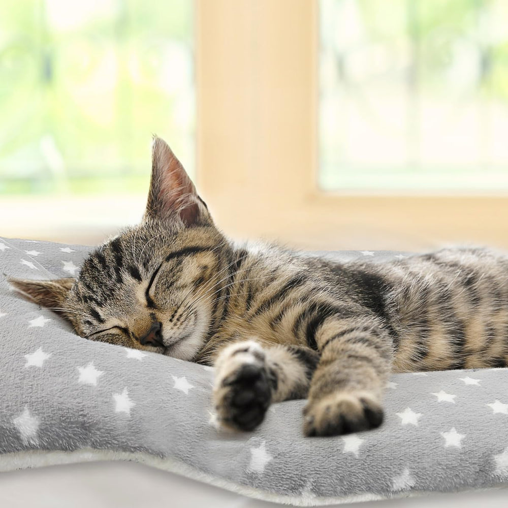 Manta Tierecare para gatos interiores; uso versátil en camas, sofás y transportines.