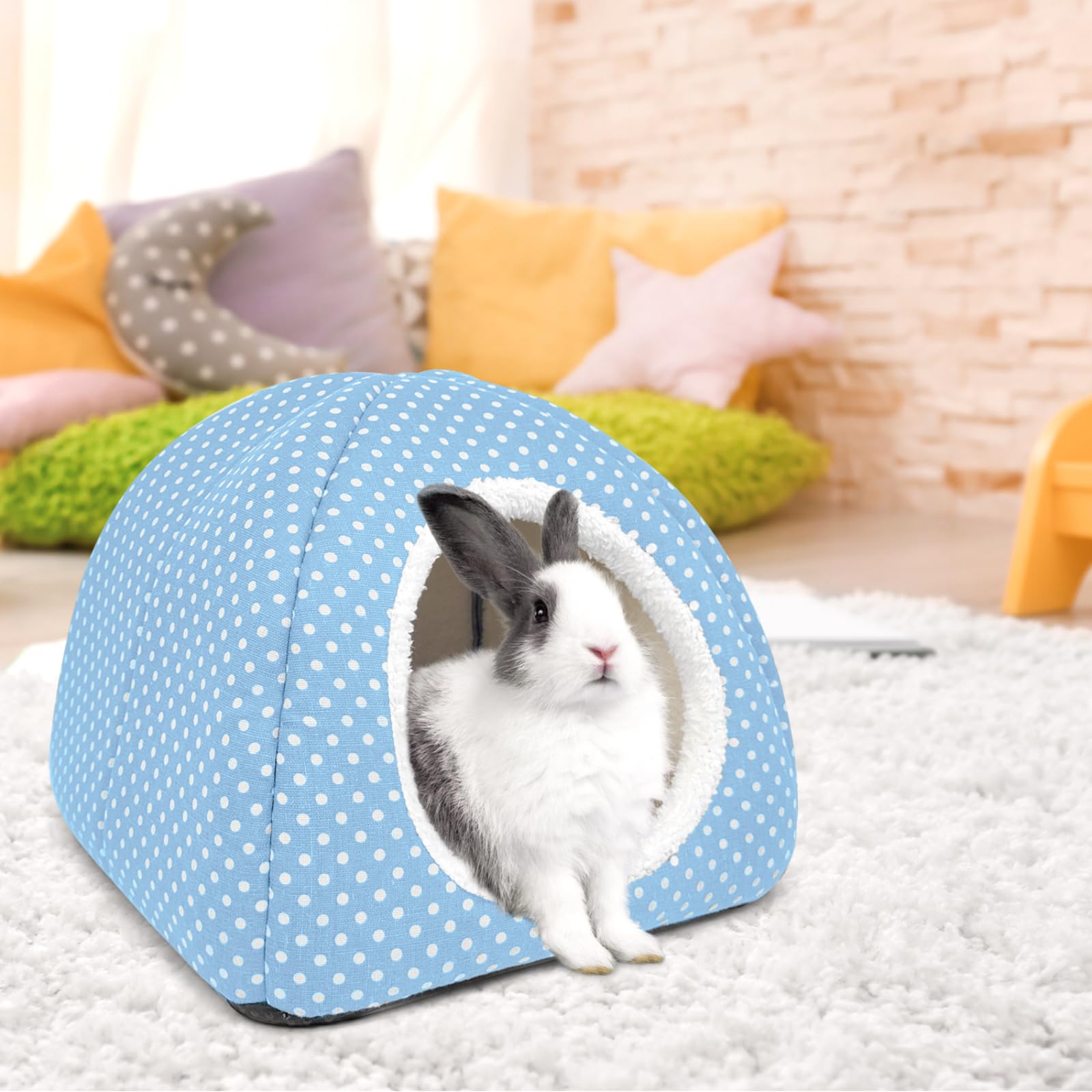 Tierecare acceso-entrada-amplia: entrada fácil para mascotas.