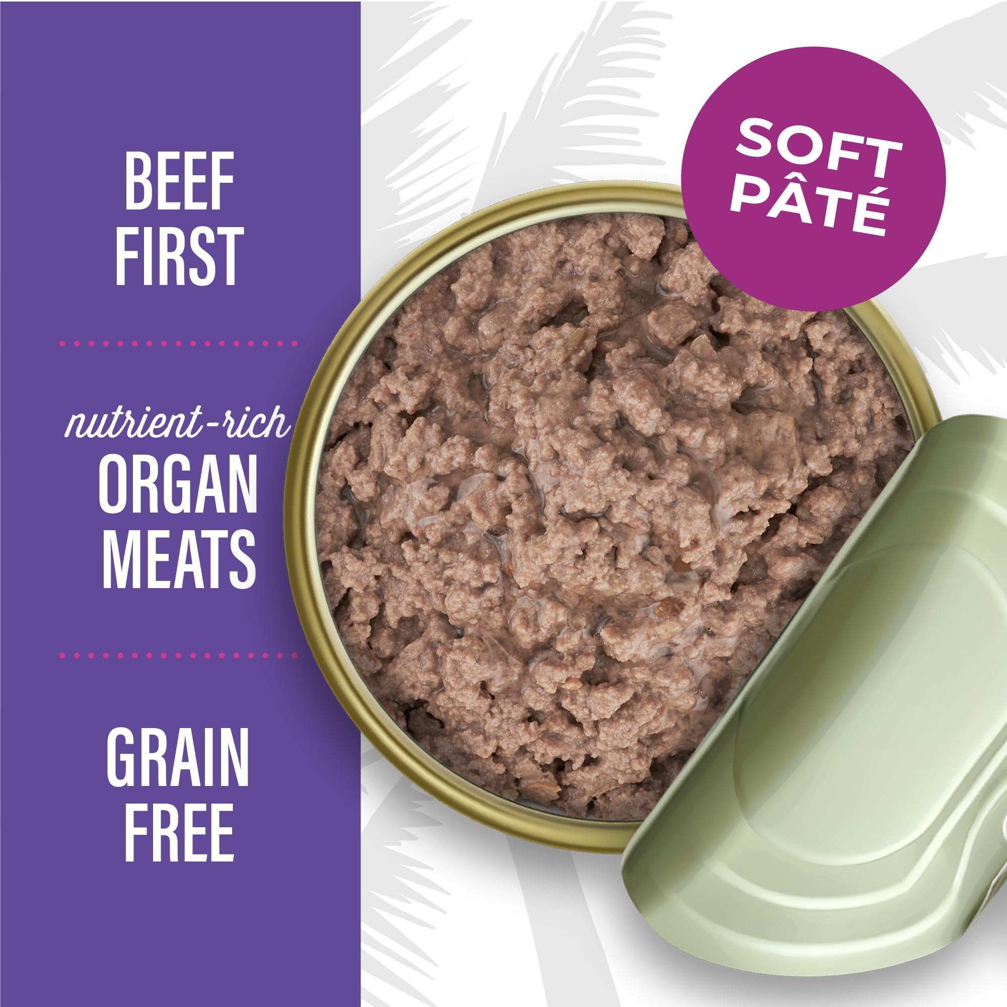 Tiki Cat After Dark Pate, pate suave facilita la ingesta en gatos exigentes