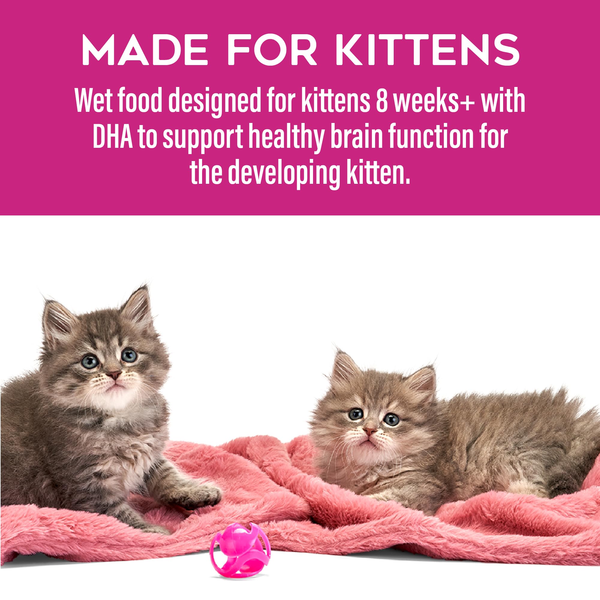 Omega-3 y taurina en Tiki Cat Baby Favorites para apoyar desarrollo cerebral.