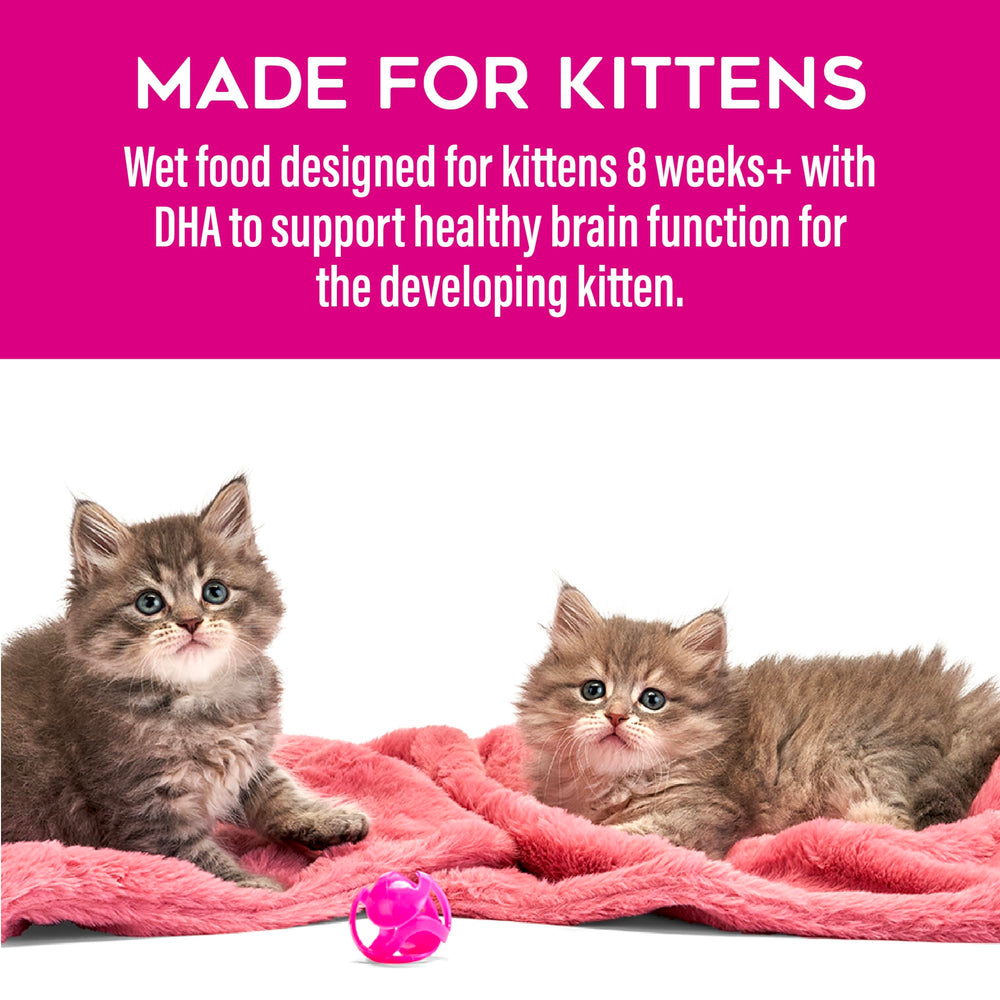 Omega-3 y taurina en Tiki Cat Baby Favorites para apoyar desarrollo cerebral.