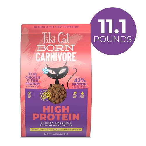 Tiki Cat Born Carnivore croquetas con arenque y salmón, sabor premium para felinos.