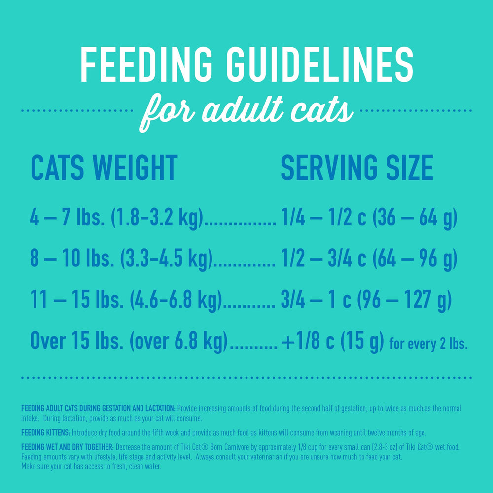 Tiki Cat Born Carnivore, dieta sin granos para gatos adultos.