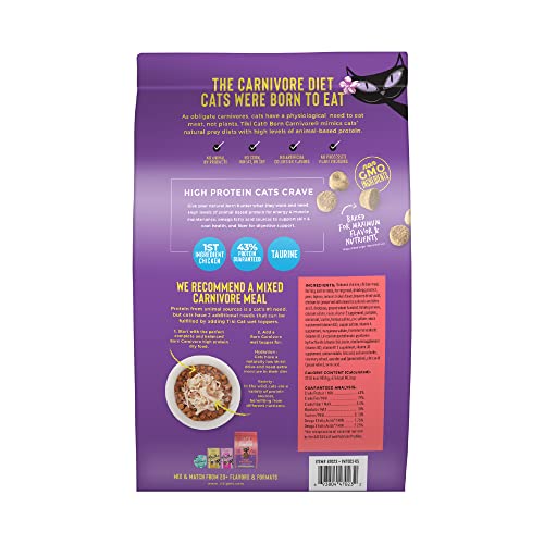 Gato adulto disfruta de Tiki Cat Born Carnivore, dieta balanceada para salud diaria.