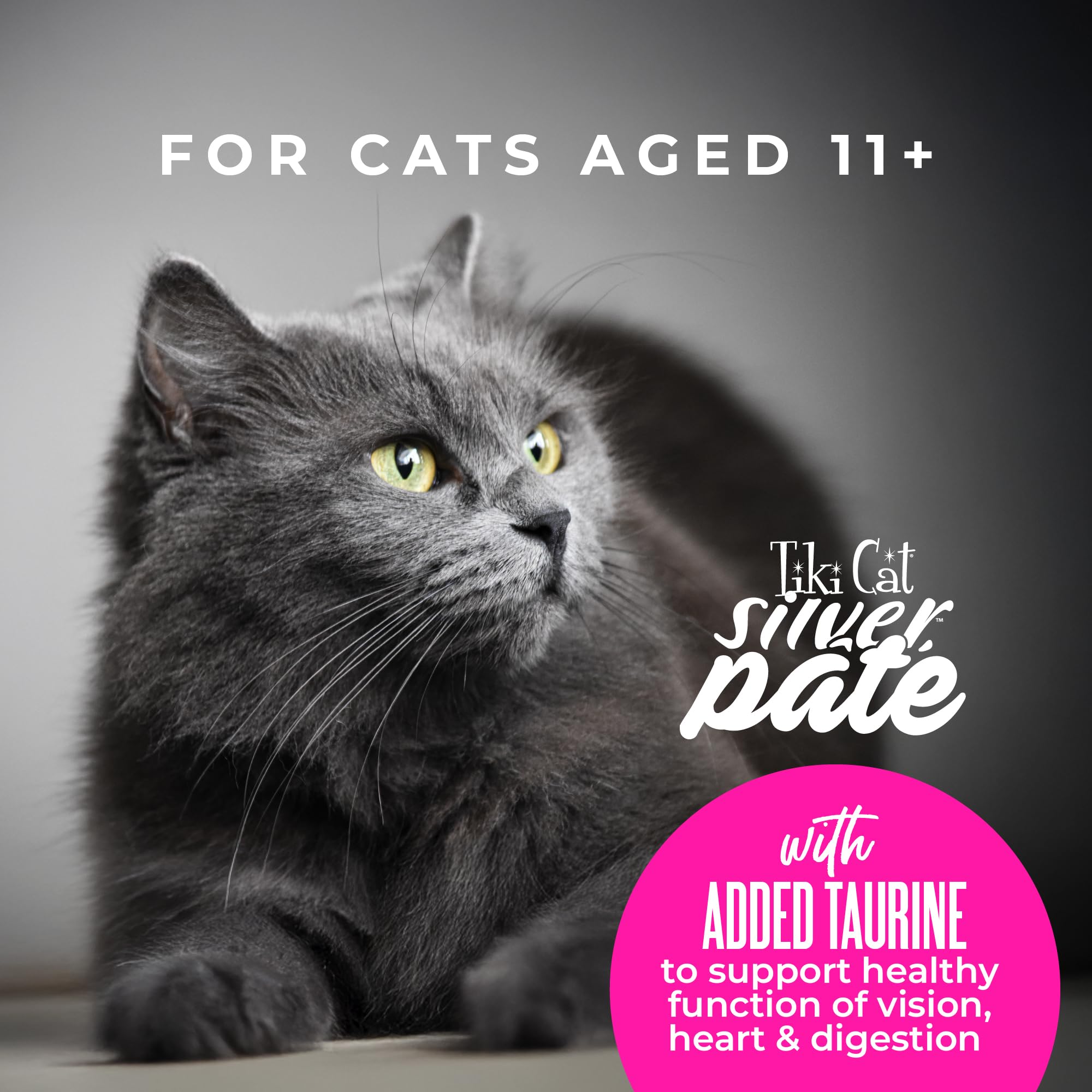 Apoyo al sistema inmunológico con antioxidantes en Tiki Cat Silver.